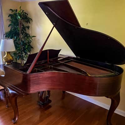 Classic & elegant Bechstein 5'9'' grand piano model L image 3