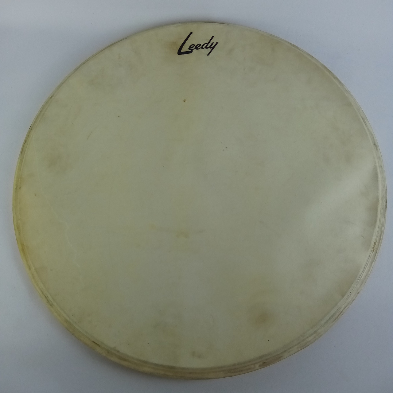Leedy 22"Calfskin Resonant Logo Bass Drum Head Slingerland Vintage 50s EXCELLENT — main photograph
