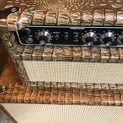Sebago  Double Trouble DUMBLE 100 Watt Head and Cabinet 2017 Crockadile image 2