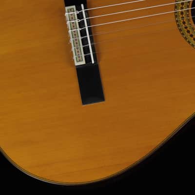 Yamaha GC22C (#294) image 2