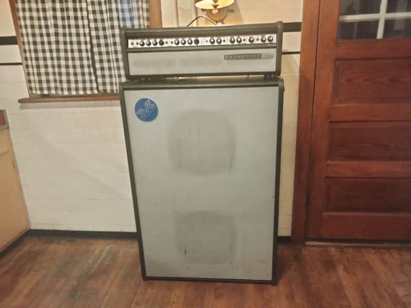 Magnatone MP-5 1966 image 1