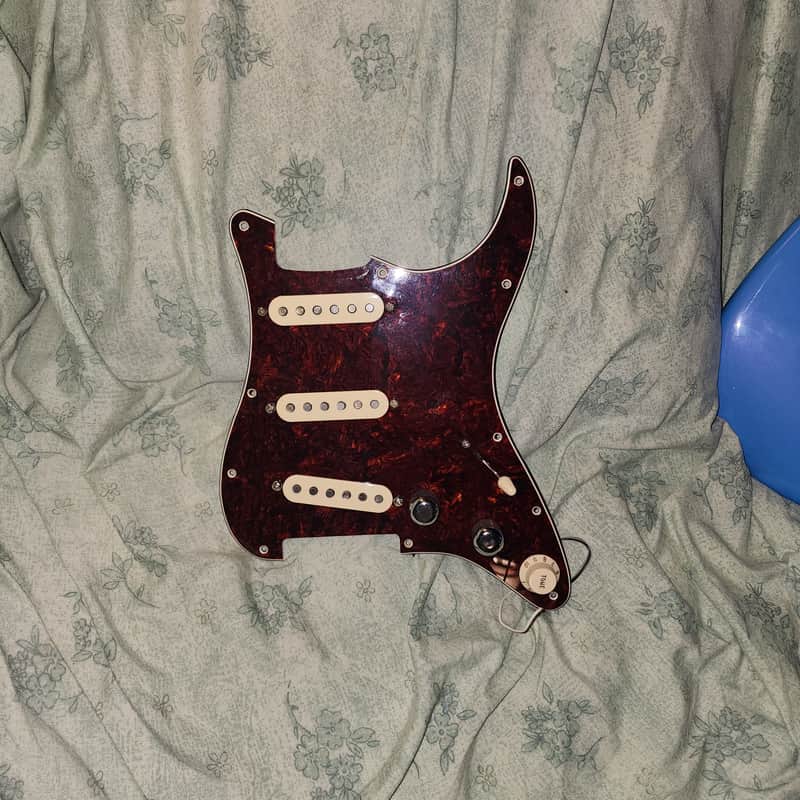 11-Hole Tortoiseshell Strat Pickguard Loaded with Seymour Duncan Custom Shop Staggered Pole Pickups + Backplate - SSS image 1