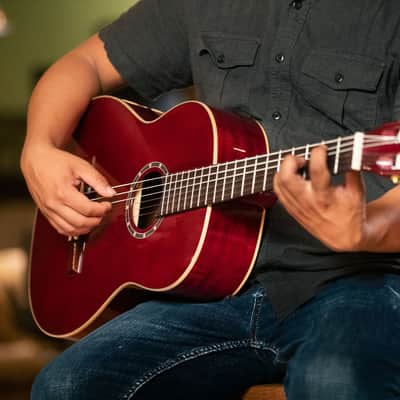 Ortega R131SN-WR Family Series Pro Solid Cedar Top Mahogany Neck Nylon 6-String Classical Acoustic Guitar w/Gig Bag image 21