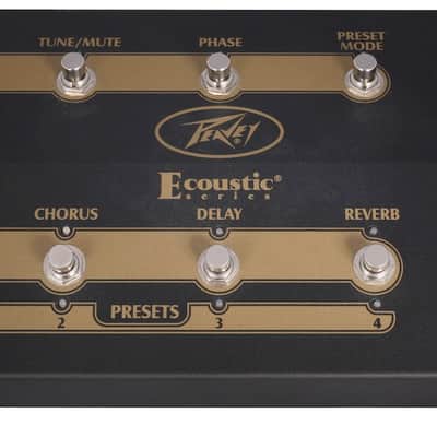 Peavey Ecoustic E110 W/Ft Controller image 3