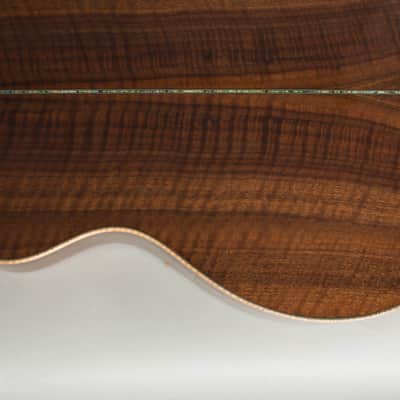Circle Strings  A-1 10 String Acoustic Flat Top Guitar (2018), ser. #119, original molded white plastic hard shell case. image 16