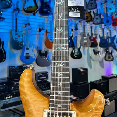 PRS Wood Library Custom 24 Fatback - Custom Color - Quilt 10 Top, Brazilian RW, Paisley Case 293 image 7