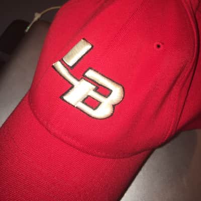 Limp Bizkit Original (Fred Durst) Rare Cap image 2