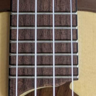 Luna Uke Dolphin Concert Spruce Top Ukulele with gig bag - Demo image 7