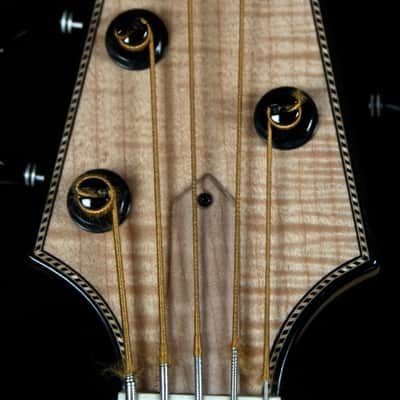 Renaissance Bass RB5 2015 image 11