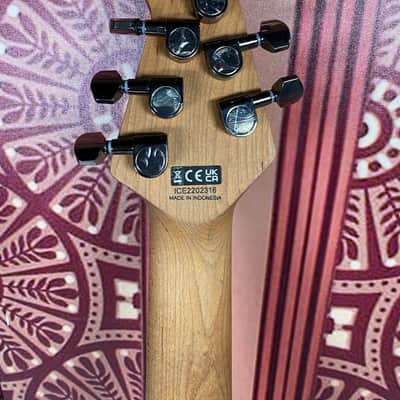EVH Wolfgang Standard Exotic Bocote 2022 - Natural image 6