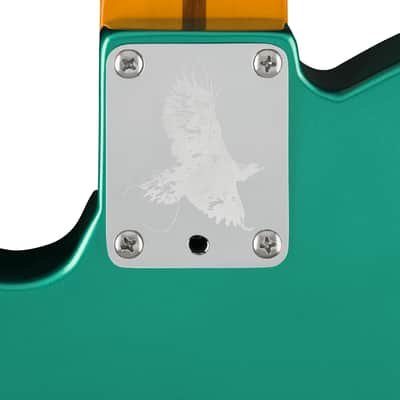 Fender Susan Tedeschi Telecaster Rosewood Fingerboard - Aged Caribbean Mist image 3