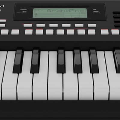 Roland E-X10 61-Key Touch Sensitive Arranger Keyboard image 5