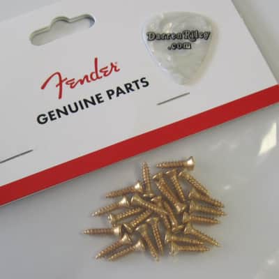 Fender USA Pickguard Screws GOLD 0994924000 image 1