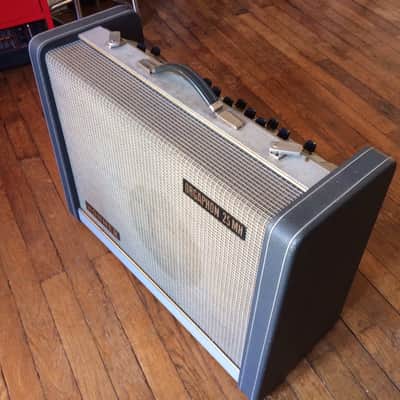 Early Hohner Orgaphon 25 MH 60's Green-Greys image 1
