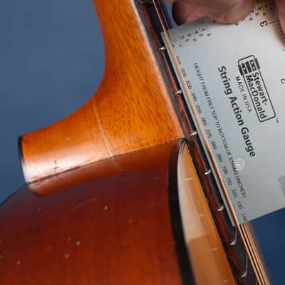 Washburn Style E Concert Size 1923-28 / Rare Special Order! image 14