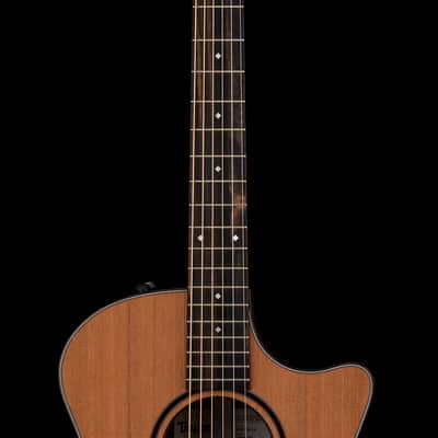 Mint Taylor Custom #12804 Grand Auditorium Sinker Redwood/Bocote #34112 image 5