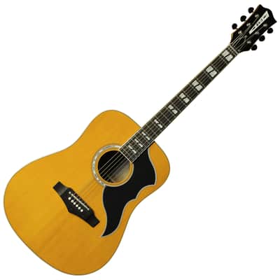 Ranger VR VI Dreadnought électro Vintage Natural EKO | Reverb