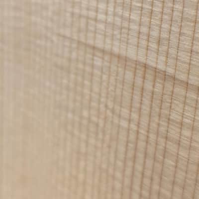 Taylor 214ce Plus 2020 - 2023 - Natural image 19