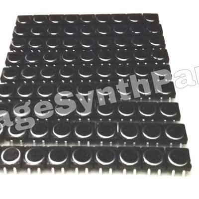 CASIO CZ5000 Full set of 81 pushbuttons panel switches - NEW Microswitch CZ-5000 switch