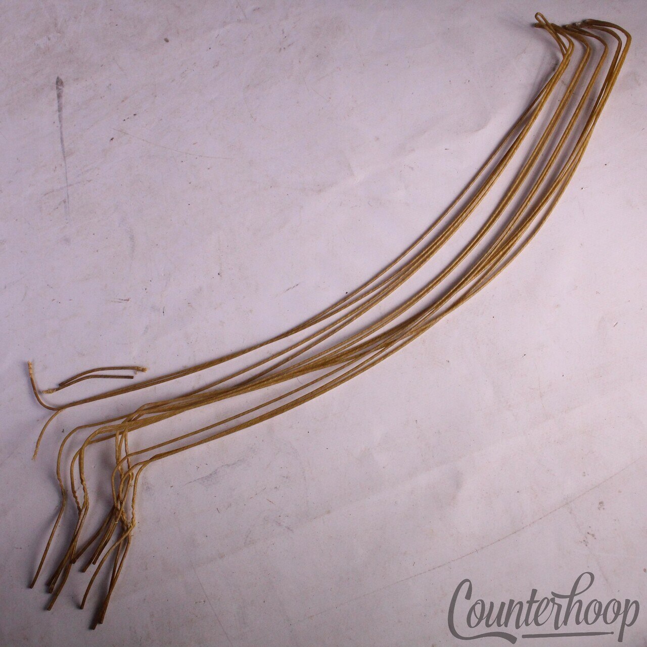 Ludwig 14"Catgut(Sheep)Snare Drum Wires/12x 19" Strands Vintage Cat Gut 20s USA — main photograph