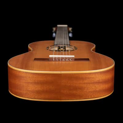 Ortega R122-3/4 Family Series Cedar Top Mahogany Neck 3/4-Size Nylon 6-String Classical Acoustic Guitar w/Gig Bag image 11