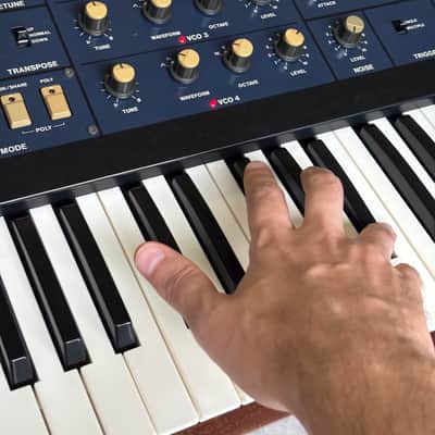 Korg Mono/Poly (1984) 4-VCO Analog Synthesizer - Fully serviced image 8