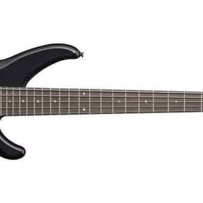 ベース Steinberger Synapse Bass 5st XS-15FPA Steinberger Synapse XS-15FPA Fretless 5-String Bass Guitars Satin