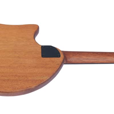 Special Steel String Electric Oud RaksOud Mat image 11