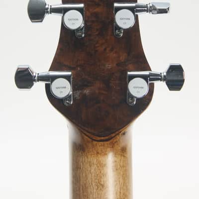 Mortillaro Custom Envy HH Chameleon image 9