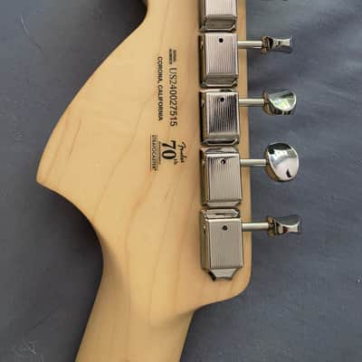 American Performer Timber (Sassafras) Stratocaster gig bag USA image 4
