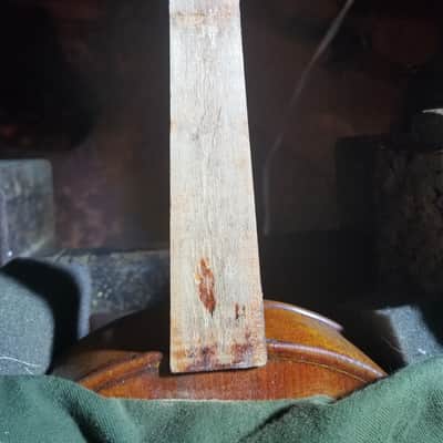 Revived Old 4/4 Bench-Made Violin Labeled Pietro Perni 1892, Vintage Roman Labeled Fiddle Outfit w/ Holstein Pernambuco Bow and Antique Case image 19
