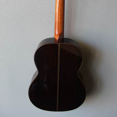 Brand New Cordoba C10 Spruce Top Classical Guitar image 7