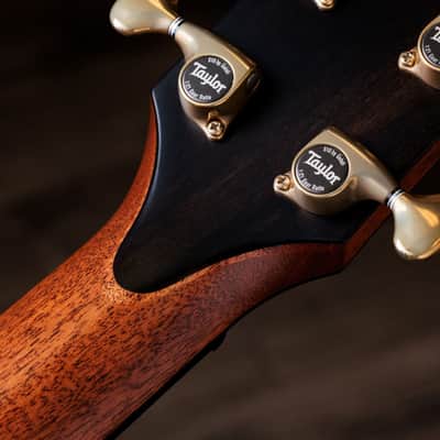 Taylor Builders Edition 914ce Grand Auditorium Acoustic Electric Guitar - Wild Honey Burst - Clearance image 8