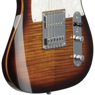 Michael Kelly 53DB Dark Tiger's Eye Electric Guitar Great 8 Boutique Mod; Maple Fretboard MK53HDTERO image 4