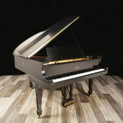 1919 Steinway Grand, Model M - Ebony image 4