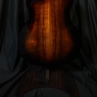 Taylor 224ce-K DLX Shaded Edgeburst image 8