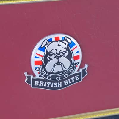 Bugera 1960 INFINIUM 150W Valve Amp Head image 4