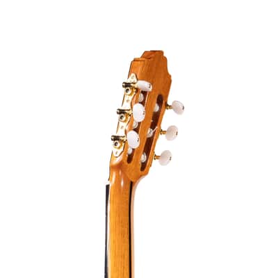 6 String Contrabass Guitar (Octave Bass) - Esteve PS75 - All Solid Wood/Cedar/Indian Rosewood - 750mm Scale Length image 9