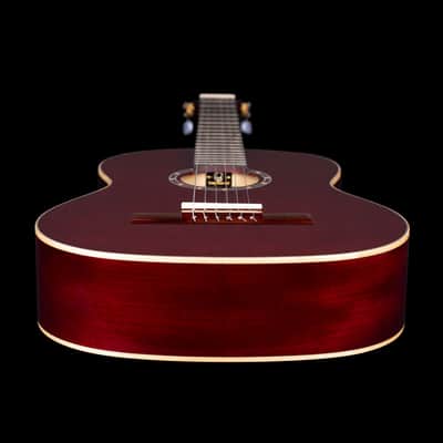 Ortega R131SN-WR Family Series Pro Solid Cedar Top Mahogany Neck Nylon 6-String Classical Acoustic Guitar w/Gig Bag image 11