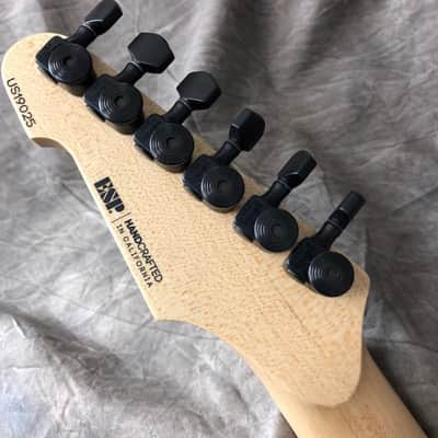 ESP USA TE-II 2019 Resin image 4