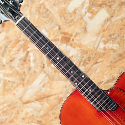 Quint Archtop Octave Mandolin Maple Short Scale Cutaway CS image 6