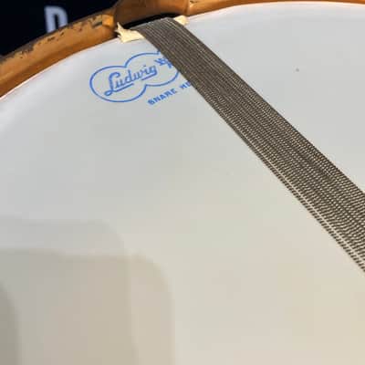 Leedy - 14x5" 8-Lug Multi-Model Snare Drum - White Lacquered Brass with Gold Hardware. 1920s image 19