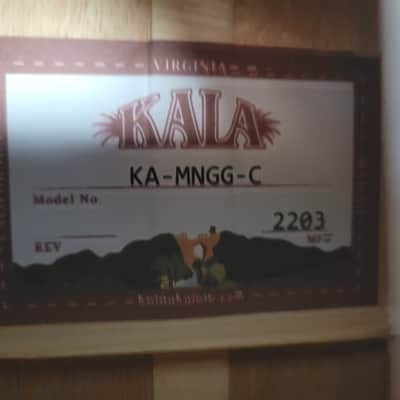 2022 Kala Curly Mango Concert Ukulele KA-MNGG-C image 13
