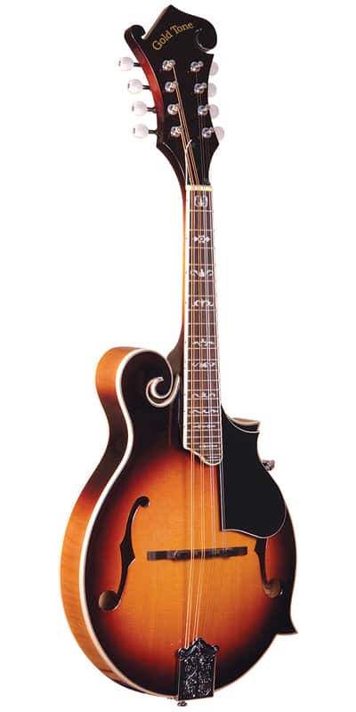 Gold Tone GM-35 Entry Level F-Style Mandolin w/case image 1