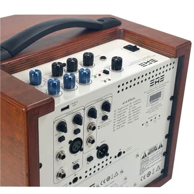 Elite Acoustics EAE A1-8 Compact Rechargeable 80 W Acoustic Amplifier with 3 Chan/LFP Battery WOOD image 3
