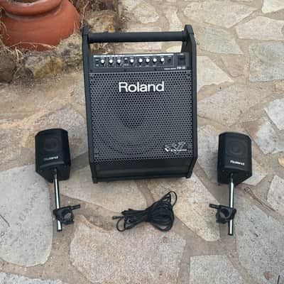 Roland PM-30 V-Drum Speaker System /Speaker Amp Amplifier Monitor image 1