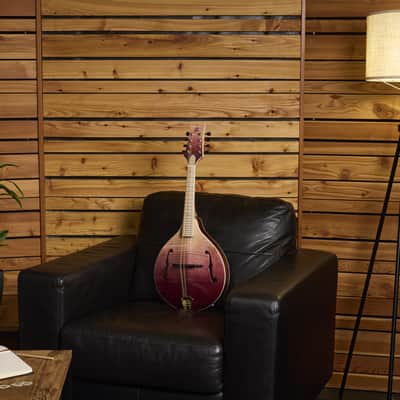 Ortega RMA200PF Americana Series A-Style Solid Flamed Maple Top Maple Neck 8-String Mandolin w/Croco Leather Case image 13
