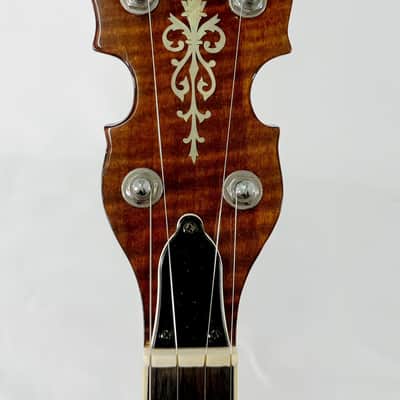 Gold Tone BG-250F 5-String Banjo w/case image 6
