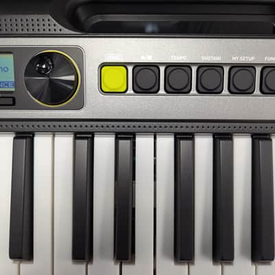 Casio LK-250 keyboard 2026 image 2
