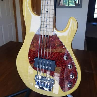 Tony Levin Signature Series Stingray 5 Bass - Rare image 2